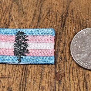 MICRO Trans Pride Patches